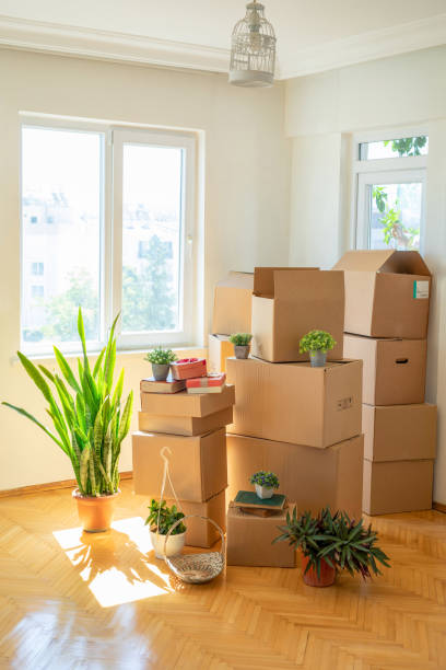 Transport zwischen Berlin und Potsdam – Boss Transporte
